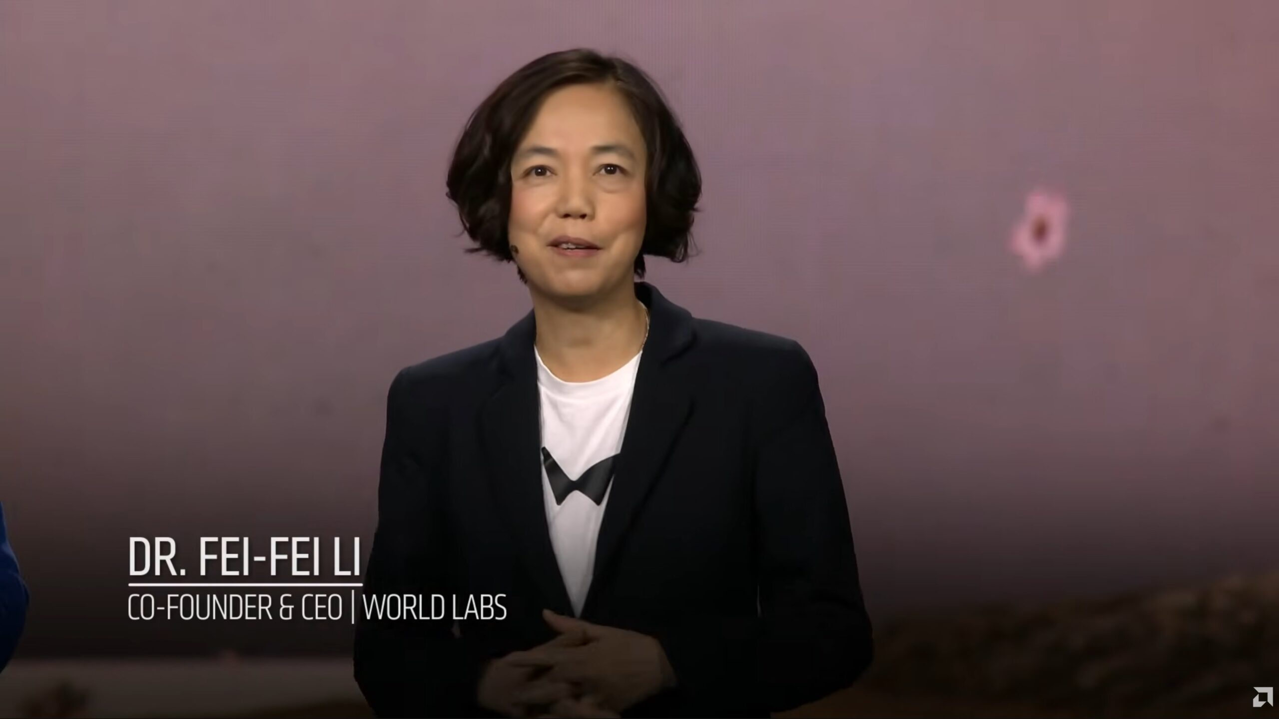 Dr. Fei-Fei Li ผู้ร่วมก่อตั้งและซีอีโอของ World Labs ระหว่างให้สัมภาษณ์